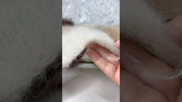 Lanificio Del’Olivoart.Quebec