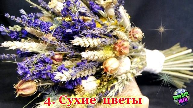 Никогда Не Держите Эти Вещи На Своей Кровати! смотреть онлайн