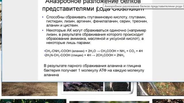 Городской компост. Можно и нельзя смотреть онлайн