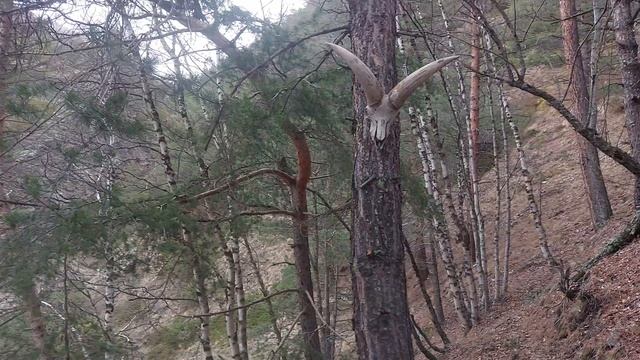 Приэльбрусье 17 смотреть онлайн