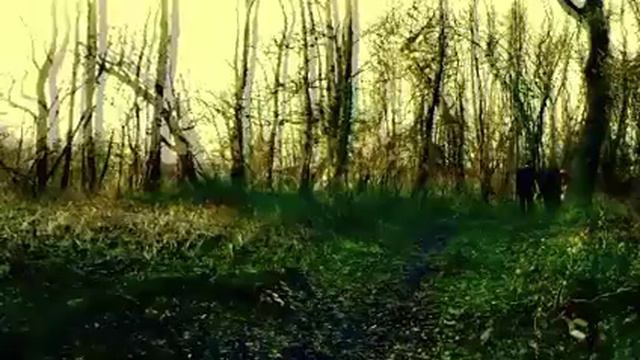 Mystic Wisdom - I want you now (Depeche Mode Cover) смотреть онлайн