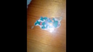 Александр Слон Смирнов поёт под гитару Коктебель 13 08 17