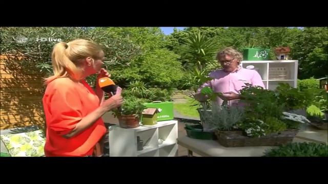 "ZDF Fernsehgarten":🪲 Blattläuse natürlich vertreiben смотреть онлайн