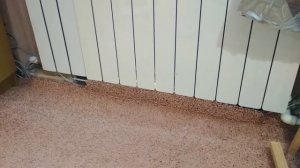 Обдув батарей водяного отопления, плюсы и минусы