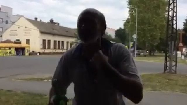 Stevica Pucnjava - cakum pakum смотреть онлайн