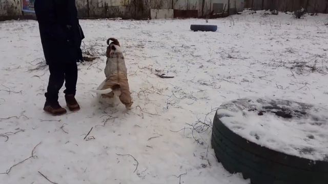 Бег на улице смотреть онлайн