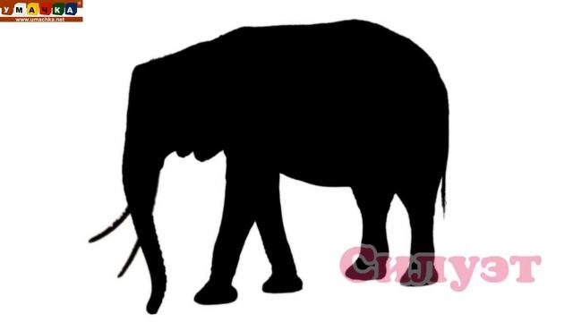 Логопедическое видео - Развивающее видео. Логопедия. Буква Л. Часть 1 смотреть онлайн