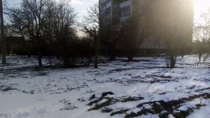 Жила бы страна родная и нету других забот Михайловка 10 февраля 2023.mp4