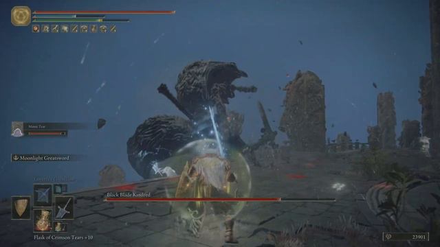 Elden Ring | Black Blade Kindred no damage fight |Dark Moon Greatsword смотреть онлайн