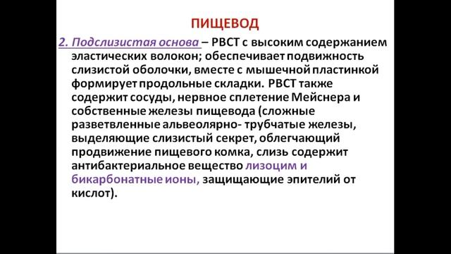 ПИЩЕВАРИТЕЛЬНАЯ СИСТЕМА. Лекция 2. Пищевод