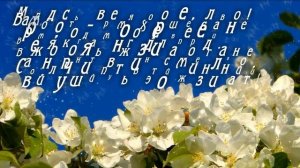 Поздравления на Выпускной. Стихи на Выпускной. Красивые Стихи на Выпускной. Благодарность Учителям