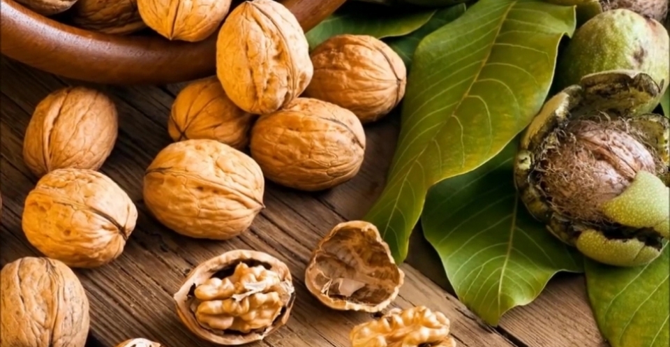 Вперед в Ашан за плодовыми деревьями и кустарниками!!! смотреть онлайн