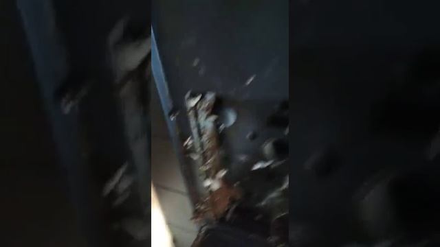 Кофемашина Bosch, УЖАС ВНУТРИ, чистка заварочного блока от грибов). смотреть онлайн