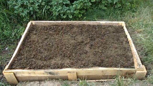 Посадка журавлини садової смотреть онлайн