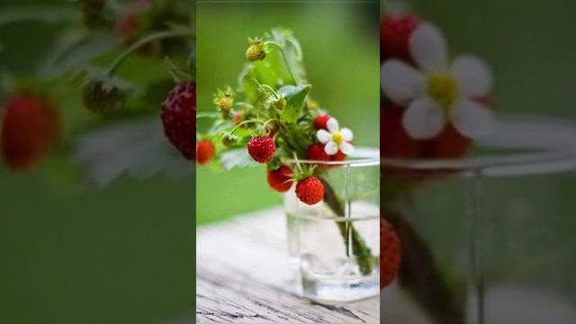 Доброе утро. смотреть онлайн