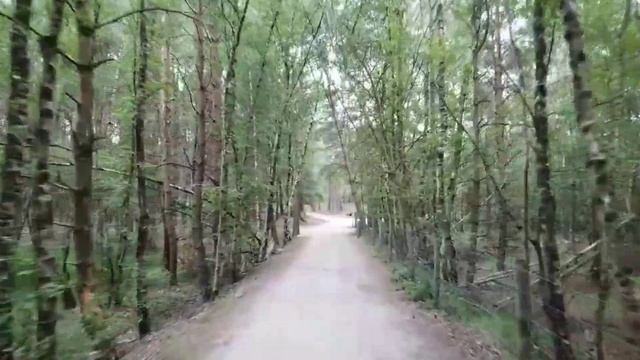 «Сын» - мини- сериал - русский сериал - дата выхода - описание серии смотреть онлайн