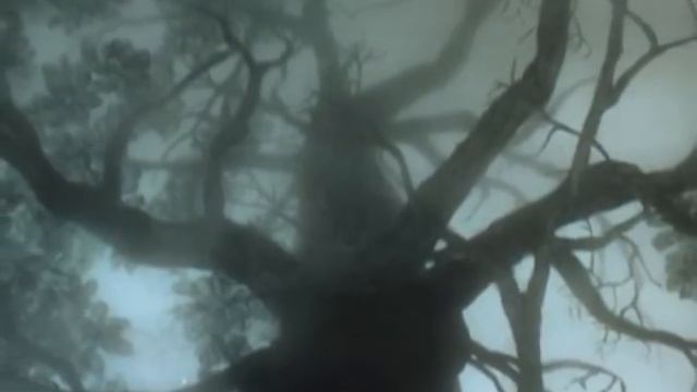 Зоя Ященко. Наизнанку смотреть онлайн