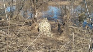 маскхалат для весенней охоты.