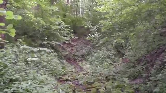 Марьянский ключ смотреть онлайн