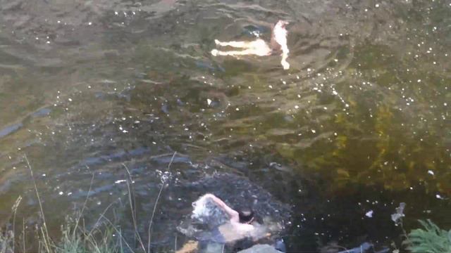 Micah & Jayden Jumping Off Cliff @ Gordon/Gibson Falls - (Aug 29, 2018) смотреть онлайн