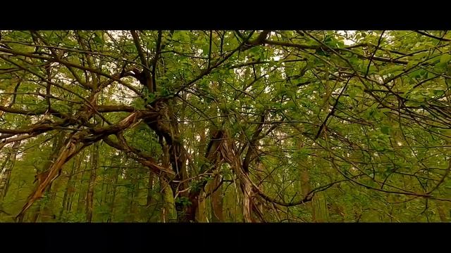 Озеро "Мичуринское", день 4. смотреть онлайн