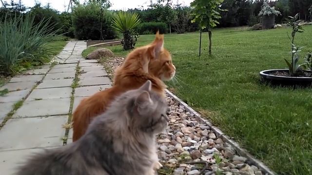 Этот мужик достоин уважения больше других смотреть онлайн