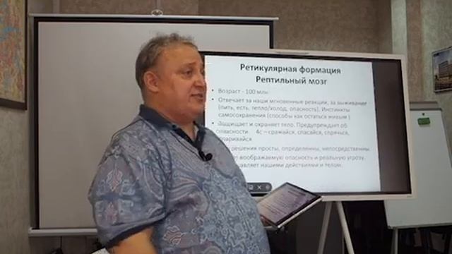 Кинетические сигналы