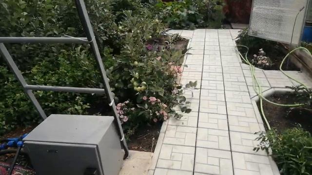 Система полива автоматическая простая через форсунки не капельная смотреть онлайн