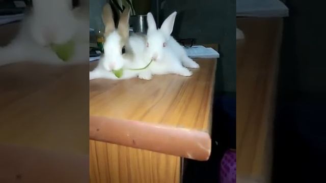 Вот как надо уважать жену смотреть онлайн