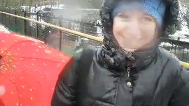 водопад Монморанси смотреть онлайн