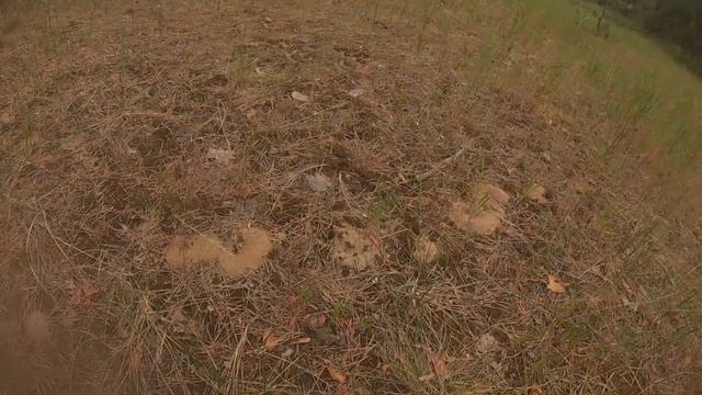 ЧЕРВИВЫЕ МАСЛЯТА