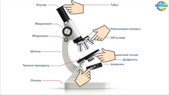 Біологія 6 клас Мікроскоп смотреть онлайн