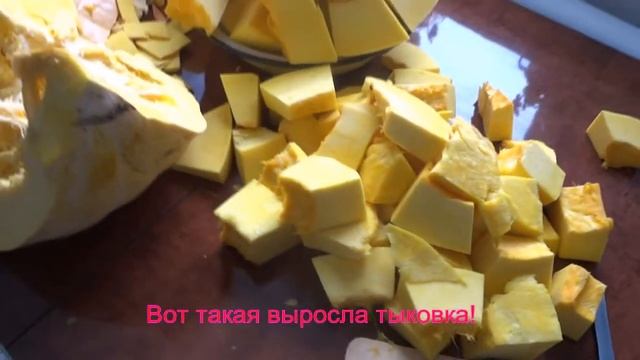 Тыква урожай 2017 года смотреть онлайн