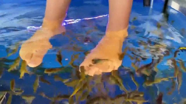 Пилинг рыбками ГарраРуфа–это процедура погружения пораженных участков тела в воду, где обитают рыбк смотреть онлайн