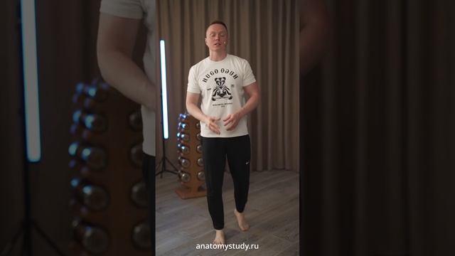 Как ягодичные мышцы разрушают ваше колено смотреть онлайн