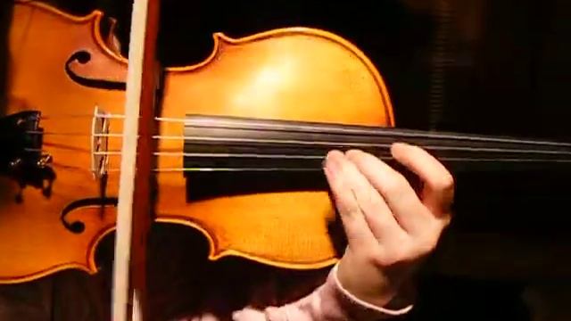 Sound Sample Of German Violin Played By Student Violinist ~Solo Excerpt, Chaconne By Vitali