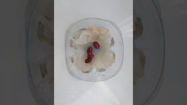 Проращивание семян фасоли смотреть онлайн