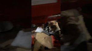 двухсторонний цилиндр т25