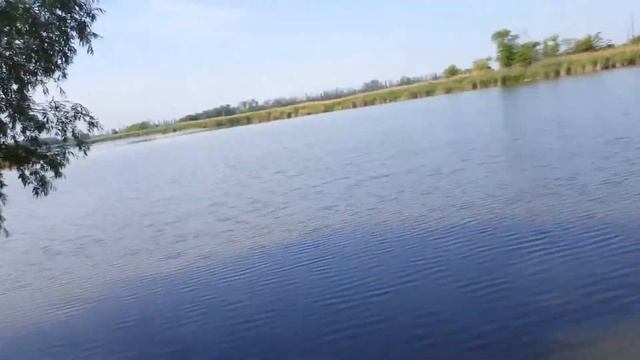 Рыбалка в Краснодарском крае Сезон 1 Серия 1 КамышЫ смотреть онлайн