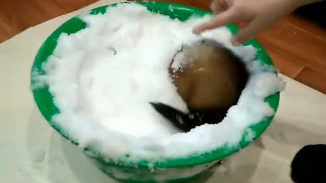 Хорек впервые увидел снег смотреть онлайн