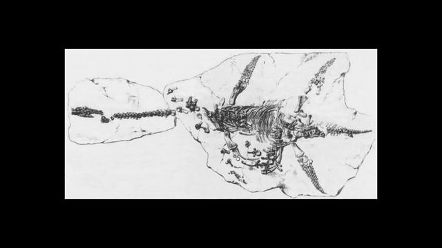 Принцесса палеонтологии - Мудреныч (История на пальцах, Мэри Эннинг) смотреть онлайн