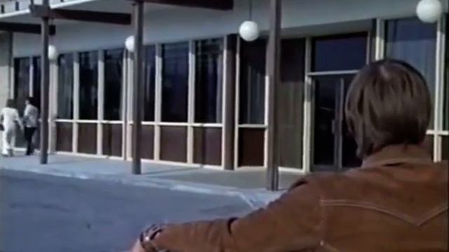 Bradford Craig & Alan Silvestri - The Doberman Gang (1972) смотреть онлайн