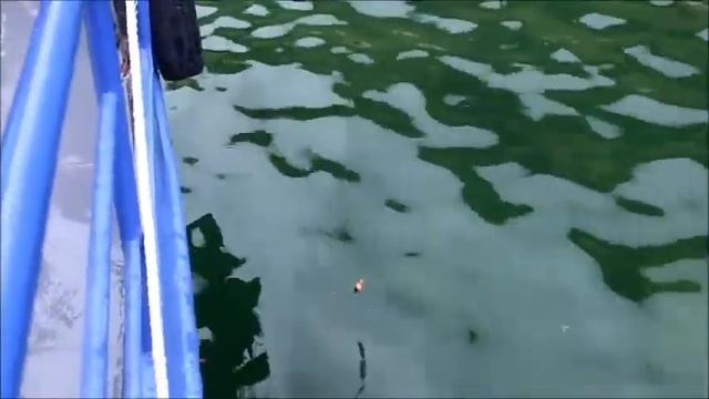 Рыбалка на Байкале. [ Рыбалка на севере Байкала 2020. ] смотреть онлайн