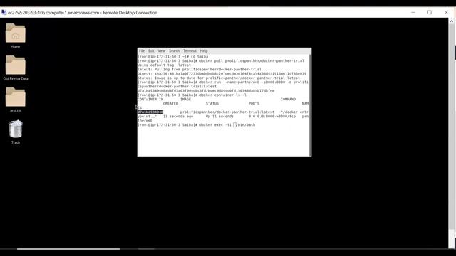 Run a Panther/Web docker image in 5 mins смотреть онлайн
