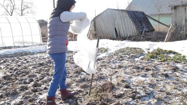 Первые дни апреля. Первое утро в доме у реки. Планы на весну. смотреть онлайн