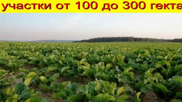 сколько стоит аренда 1 га земли Тюмень Тюменской смотреть онлайн