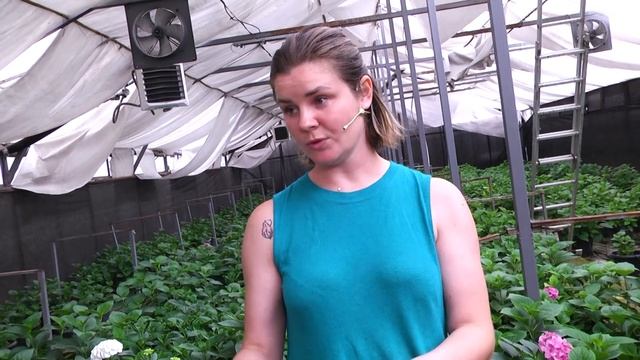 Свежие цветы в интерьере. От теплицы до дома смотреть онлайн
