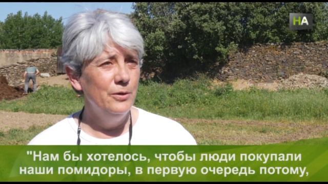 НА «Счастливые помидорчики». Проект трудоустройства и психического здоровья смотреть онлайн