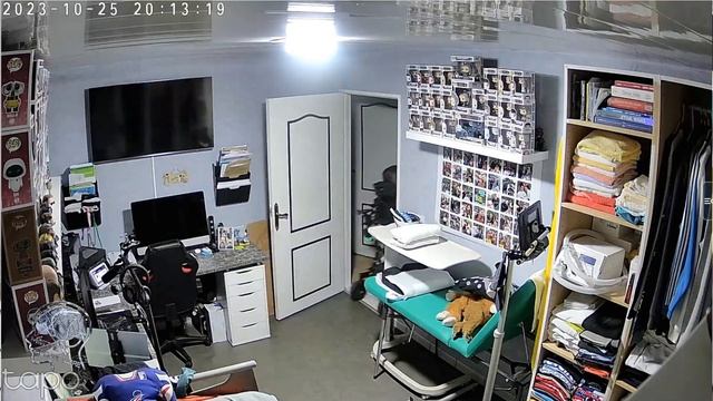 Domotique : IA et Home assistant pour anticiper ses besoins ? смотреть онлайн