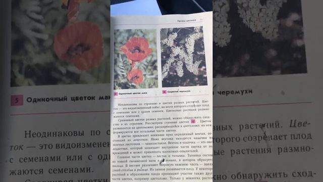 Органы растения/Биология 5 класс смотреть онлайн
